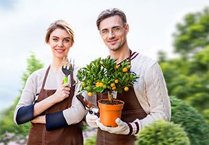 Проект «под ключ» где можно заказать по низкой цене  в Воронеже