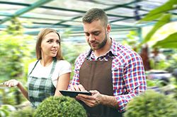 Дендроплан - верное планирование территории и решения этой задачи на уровне  в Воронеже