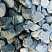 Kamenclub.ru: Щебень галтованный зеленый (змеевик) фр. 50-100 мм.  купить в Воронеже галтовка мраморная зеленый, салатовый мрамор 12 500 руб/т   фото КАМЕНЬ КЛУБ