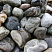 Kamenclub.ru: Речной валун Кабанчик фр.300-500 мм.  купить в Воронеже крупный природный камень галька серый, темно-серый речной валун галечник масштабный 7000 руб/т   фото КАМЕНЬ КЛУБ