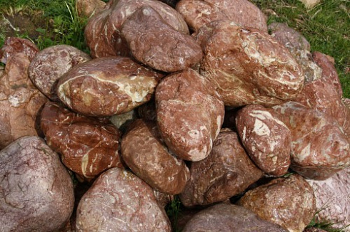 Kamenclub.ru: Розовый валунчик фр.100-300 мм.  купить в Воронеже крупный природный камень розовый, серый молочный красный речной галечник природный 7850 руб/т   фото КАМЕНЬ КЛУБ