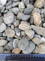 Kamenclub.ru: Галька речная окат (пестрая) фр. 20-40 мм. купить  в Воронеже галька речная пестрая, серая, серые оттенки галька речная окатанная округлая 5000 руб/т   фото КАМЕНЬ КЛУБ