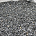 Kamenclub.ru: Щебень крошка черный (мрамор) фр. 10-20 мм.  купить в Воронеже мрамор черный с белыми прожилками, черный, белый каменная ландшафтная декоративная крошка щебня 11000 руб/т   фото КАМЕНЬ КЛУБ