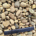 Kamenclub.ru: Галька речная окат рыжая фр. 20-40 мм. купить  в Воронеже галька речная окатанная рыжая желтая серая округлая речная галька 5000 руб/т   фото КАМЕНЬ КЛУБ