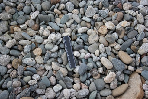 Kamenclub.ru: Галька речная окат (пестрая) фр. 20-40 мм. купить  в Воронеже галька речная пестрая, серая, серые оттенки галька речная окатанная округлая 5000 руб/т   фото КАМЕНЬ КЛУБ