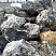 Kamenclub.ru: Черный гранит - кварцит фр. 100-500 мм.  купить в Воронеже мрамор гранит черный с белыми прожилками, серый, белый валун скальный колотый 7000 руб/т   фото КАМЕНЬ КЛУБ