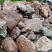Kamenclub.ru: Конгломераты фр. 300-1000 мм.  купить в Воронеже кварц мрамор диабаз коричневый, серый зеленоватый речной валун крупный 6500 руб/т   фото КАМЕНЬ КЛУБ