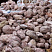Kamenclub.ru: Розовый валунчик фр.100-300 мм.  купить в Воронеже крупный природный камень розовый, серый молочный красный речной галечник природный 7850 руб/т   фото КАМЕНЬ КЛУБ