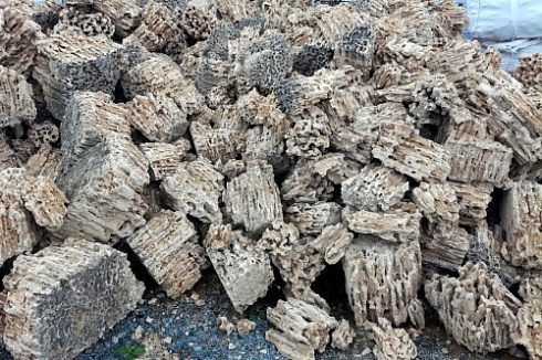 Kamenclub.ru: Крымский природный меотис фр. 100-500 мм.  купить в Воронеже меотис бежевый рыжий молочный желтый ракушечник 4 500 руб/т   фото КАМЕНЬ КЛУБ