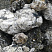 Kamenclub.ru: Черный гранит - кварцит фр. 100-500 мм.  купить в Воронеже мрамор гранит черный с белыми прожилками, серый, белый валун скальный колотый 7000 руб/т   фото КАМЕНЬ КЛУБ