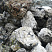 Kamenclub.ru: Черный гранит - кварцит фр. 100-500 мм.  купить в Воронеже мрамор гранит черный с белыми прожилками, серый, белый валун скальный колотый 7000 руб/т   фото КАМЕНЬ КЛУБ