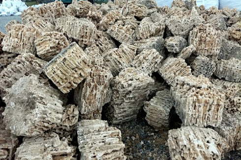 Kamenclub.ru: Крымский природный меотис фр. 100-500 мм.  купить в Воронеже меотис бежевый рыжий молочный желтый ракушечник 4 500 руб/т   фото КАМЕНЬ КЛУБ