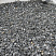 Kamenclub.ru: Щебень крошка черный (мрамор) фр. 40-70 мм.  купить в Воронеже мрамор черный с белыми прожилками, черный, белый декоративный щебень 11000 руб/т   фото КАМЕНЬ КЛУБ