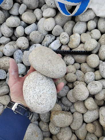 Kamenclub.ru: Галька речная окат (серо-белая) фр. 70-120 мм купить  в Воронеже галька галечник бело-серая, серо-белая, серая, белая речная природная галька  8000 руб/т   фото КАМЕНЬ КЛУБ