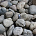 Kamenclub.ru: Темно-серый валунчик фр.100-300 мм.  купить в Воронеже крупный природный камень серый, темно-серый, светло-серый речная галька большого размера окатанная 4500 руб/т   фото КАМЕНЬ КЛУБ