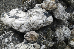 Kamenclub.ru: Черный гранит - кварцит фр. 500-1000 мм.  купить в Воронеже гранит кварцит черный серый белый скальный колотый валун 9750 руб/т   фото КАМЕНЬ КЛУБ