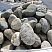 Kamenclub.ru: Речной валун (Ассорти) фр.100-300 мм.  купить в Воронеже галечник серый, темно-серый, светло-серый речная галька крупных размеров 4200 руб/т   фото КАМЕНЬ КЛУБ