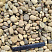 Kamenclub.ru: Галька речная окат рыжая фр. 20-40 мм. купить  в Воронеже галька речная окатанная рыжая желтая серая округлая речная галька 5000 руб/т   фото КАМЕНЬ КЛУБ