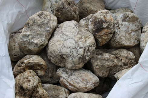 Kamenclub.ru: Кварцевый валунчик фр.100-300 мм.  купить в Воронеже кварц белый, бежевый молочный рыжий крупный природный камень галечник 7850 руб/т   фото КАМЕНЬ КЛУБ