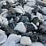 Kamenclub.ru: Мраморная крошка (щебень галтованный микс:: белый-черный) фр.20-40 мм  купить в Воронеже мрамор белый, черный мраморный галтованный щебень 15500 руб/т   фото КАМЕНЬ КЛУБ