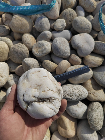 Kamenclub.ru: Галька речная окат (серо-белая) фр. 70-120 мм купить  в Воронеже галька галечник бело-серая, серо-белая, серая, белая речная природная галька  8000 руб/т   фото КАМЕНЬ КЛУБ