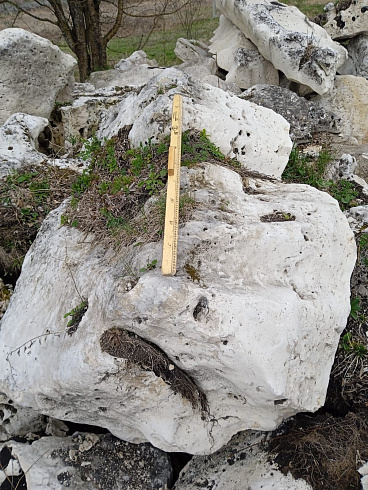 Kamenclub.ru: Выветренный известняк со мхом фр. 100-500 мм.  купить в Воронеже известняк серый белый зеленый валун известняковый крупный 10000 руб/т   фото КАМЕНЬ КЛУБ