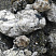 Kamenclub.ru: Черный гранит - кварцит фр. 100-500 мм.  купить в Воронеже мрамор гранит черный с белыми прожилками, серый, белый валун скальный колотый 7000 руб/т   фото КАМЕНЬ КЛУБ