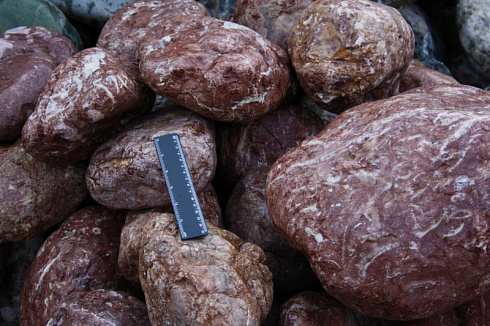 Kamenclub.ru: Розовый валунчик фр.100-300 мм.  купить в Воронеже крупный природный камень розовый, серый молочный красный речной галечник природный 7850 руб/т   фото КАМЕНЬ КЛУБ