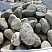 Kamenclub.ru: Речной валун (Ассорти) фр.100-300 мм.  купить в Воронеже галечник серый, темно-серый, светло-серый речная галька крупных размеров 4200 руб/т   фото КАМЕНЬ КЛУБ