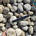 Kamenclub.ru: Галька речная окат (серо-белая) фр. 70-120 мм купить  в Воронеже галька галечник бело-серая, серо-белая, серая, белая речная природная галька  8000 руб/т   фото КАМЕНЬ КЛУБ