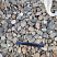 Kamenclub.ru: Галька речная окат (пестрая) фр. 20-40 мм. купить  в Воронеже галька речная пестрая, серая, серые оттенки галька речная окатанная округлая 5000 руб/т   фото КАМЕНЬ КЛУБ