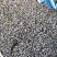 Kamenclub.ru: Галька речная окат (серая) фр.3-5 мм купить  в Воронеже галька речная серая бежевый темно-серый окатанный речной камень округлый 9500 руб/т   фото КАМЕНЬ КЛУБ