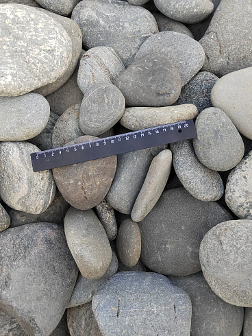 Kamenclub.ru: Галька речная плоская (серо-белая) фр. 70-120 мм. купить  в Воронеже галька галечник речной серый, белый окатанная плоская  природная галька 9000 руб/т   фото КАМЕНЬ КЛУБ