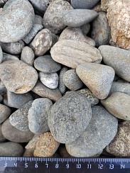 Kamenclub.ru: Галька речная окат (серая) фр.40-60 мм купить  в Воронеже галька речная серый бежевый рыжий коричневый округлый речной камень 5000 руб/т   фото КАМЕНЬ КЛУБ