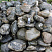Kamenclub.ru: Валунчик Паутинник фр.100-300 мм  купить в Воронеже крупный природный камень галечник темно-серый с прожилками белый черный речной валунчик 5000 руб/т   фото КАМЕНЬ КЛУБ