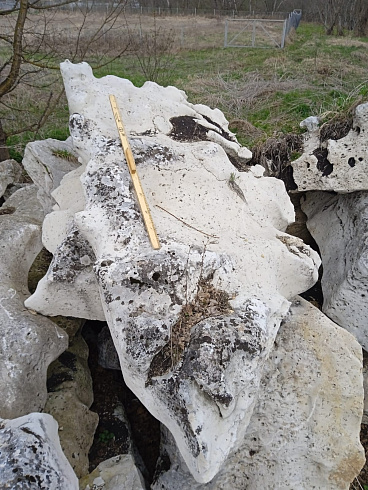 Kamenclub.ru: Выветренный известняк со мхом фр. 100-500 мм.  купить в Воронеже известняк серый белый зеленый валун известняковый крупный 10000 руб/т   фото КАМЕНЬ КЛУБ