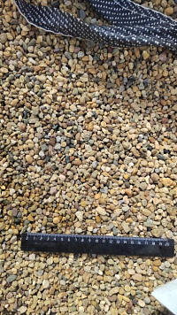 Kamenclub.ru: Галька окат (серо-желтая) фр.5-10 мм. купить  в Воронеже галька речная рыжий, желтый, рыжий, серо-желтый речная окатанная галька декоративная 5000 руб/т   фото КАМЕНЬ КЛУБ