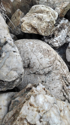 Kamenclub.ru: Кварцевый валунчик фр.100-300 мм.  купить в Воронеже кварц белый, бежевый молочный рыжий крупный природный камень галечник 7850 руб/т   фото КАМЕНЬ КЛУБ