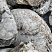 Kamenclub.ru: Кварцевый валунчик фр.100-300 мм.  купить в Воронеже кварц белый, бежевый молочный рыжий крупный природный камень галечник 7850 руб/т   фото КАМЕНЬ КЛУБ