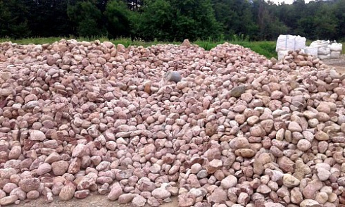 Kamenclub.ru: Розовый валунчик фр.100-300 мм.  купить в Воронеже крупный природный камень розовый, серый молочный красный речной галечник природный 7850 руб/т   фото КАМЕНЬ КЛУБ