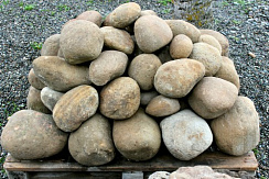 Kamenclub.ru: Песчаник ядра, фр. 100-300 мм  купить в Воронеже песчаник бежевый серый рыжий речная галька 5 000 руб/т   фото КАМЕНЬ КЛУБ