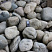 Kamenclub.ru: Речной валун (Ассорти) фр.100-300 мм.  купить в Воронеже галечник серый, темно-серый, светло-серый речная галька крупных размеров 4200 руб/т   фото КАМЕНЬ КЛУБ
