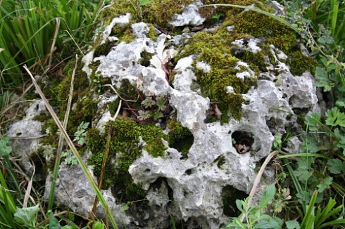 Kamenclub.ru: Выветренный известняк со мхом фр. 100-500 мм.  купить в Воронеже известняк серый белый зеленый валун известняковый крупный 10000 руб/т   фото КАМЕНЬ КЛУБ