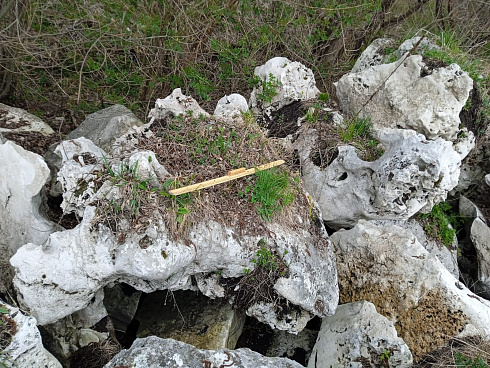 Kamenclub.ru: Выветренный известняк (степной) фр. 500-1500 мм.  купить в Воронеже    10000 руб/т   фото КАМЕНЬ КЛУБ