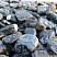Kamenclub.ru: Щебень галтованный черный (мрамор) фр.20-40 мм.  купить в Воронеже мрамор черный с белыми прожилками мрамор окатанный округлый 15000 руб/т   фото КАМЕНЬ КЛУБ