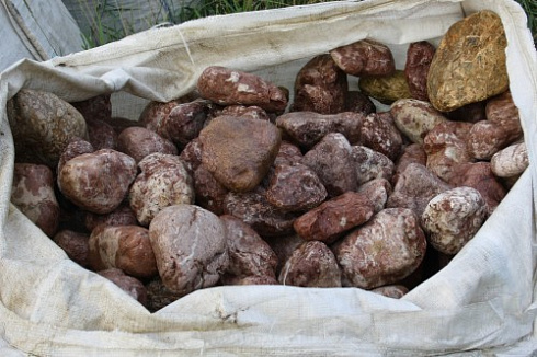 Kamenclub.ru: Розовый валунчик фр.100-300 мм.  купить в Воронеже крупный природный камень розовый, серый молочный красный речной галечник природный 7850 руб/т   фото КАМЕНЬ КЛУБ