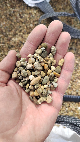 Kamenclub.ru: Галька окат (серо-желтая) фр.5-10 мм. купить  в Воронеже галька речная рыжий, желтый, рыжий, серо-желтый речная окатанная галька декоративная 5000 руб/т   фото КАМЕНЬ КЛУБ